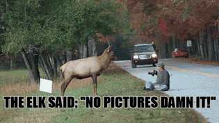 17 Camera Shots That Almost Killed People