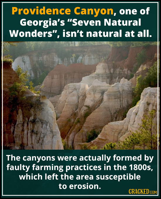 Providence Canyon, one of Georgia's Seven Natural Wonders, isn't natural at all. The canyons were actually formed by faulty farming practices in the