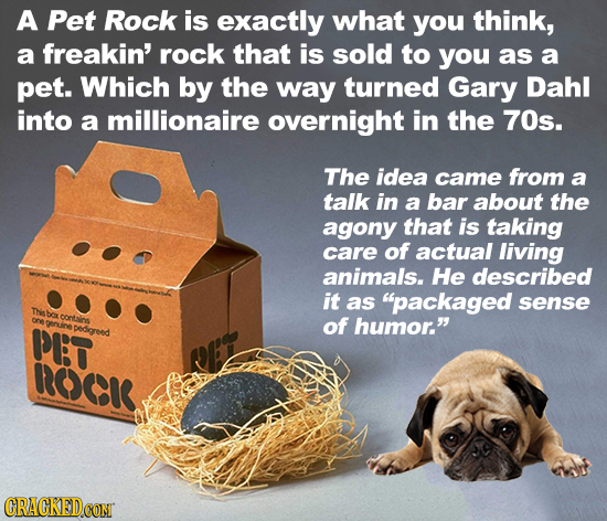 A Pet Rock is exactly what you think, a freakin' rock that is sold to you as a pet. Which by the way turned Gary Dahl into a millionaire overnight in