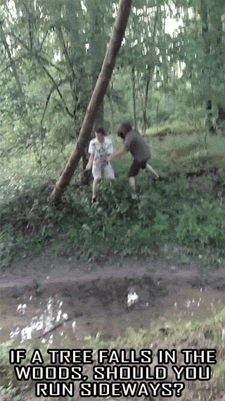 17 Camera Shots That Almost Killed People