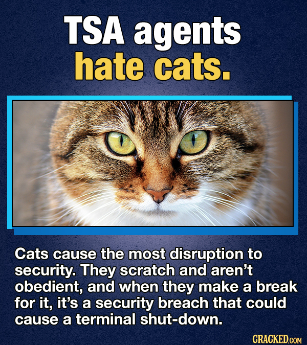 16 Jobs With Fascinating Secrets