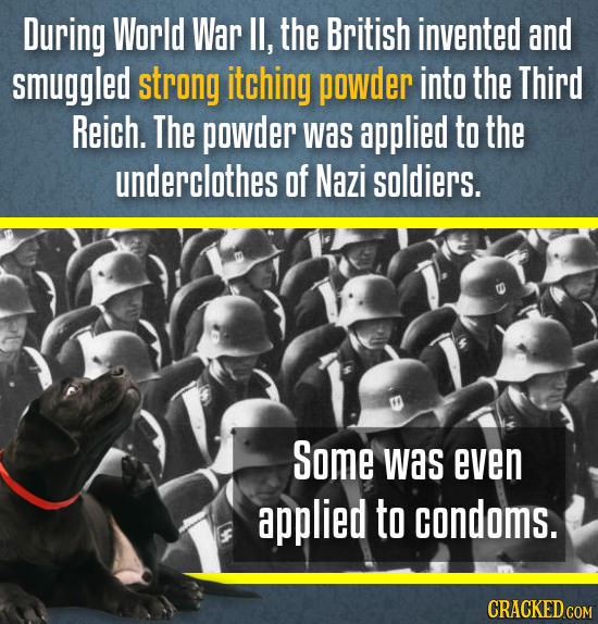 During World War IL, the British invented and smuggled strong itching powder into the Third Reich. The powder Was applied to the underclothes of Nazi