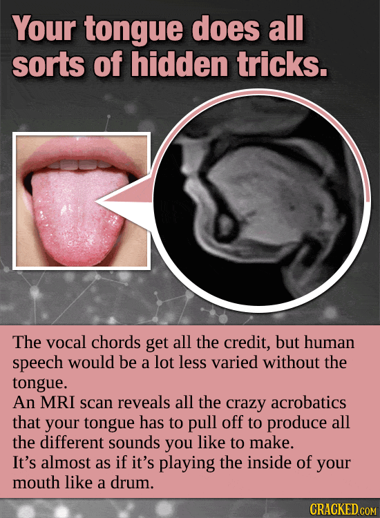 Your Body’s Incredible, Invisible Machinery (Made Visible)