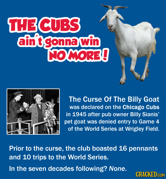 THE CUBS ain t gonna win NO MORE! The Curse Of The Billy Goat was declared on the Chicago Cubs in 1945 after pub owner Billy Sianis' pet goat was deni