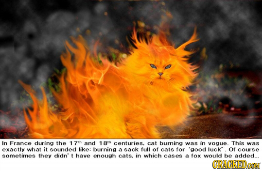 In France during the 17th and 18th centuries. cat burning was in vogue. This was exactly what it sounded like: burning a sack full of cats for 'good I