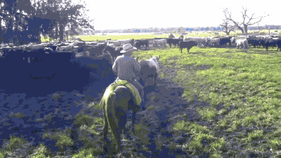 17 Camera Shots That Almost Killed People