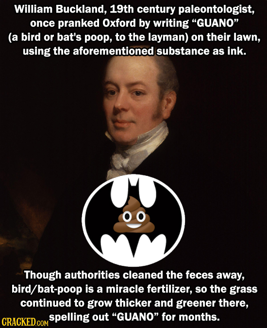 William Buckland, 19th century paleontologist, once pranked Oxford by writing GUANO (a bird or bat's poop, to the layman) on their lawn, using the a