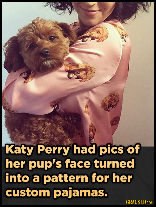 Katy Perry had pics of her pup's face turned into a pattern for her custom pajamas.