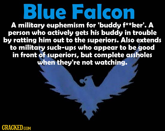 Blue Falcon A military euphemism for 'buddy f**ker'. A person who actively gets his buddy in trouble by ratting him out to the superiors. Also extends
