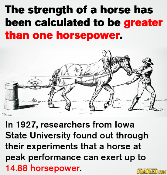 The strength of a horse has been calculated to be greater than one horsepower. In 1927, researchers from lowa State University found out through their