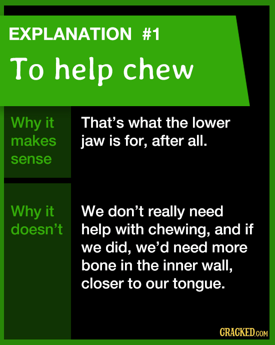 EXPLANATION #1 To help chew Why it That's what the lower makes jaw is for, after all. sense Why it We don't really need doesn't help with chewing, and