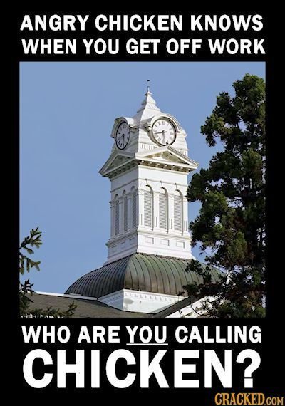 ANGRY CHICKEN KNOWS WHEN YOU GET OFF WORK WHO ARE YOU CALLING CHICKEN?