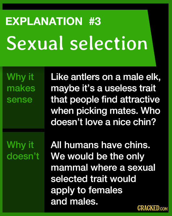 EXPLANATION #3 Sexual selection Why it Like antlers on a male elk, makes maybe it's a useless trait sense that people find attractive when picking mat