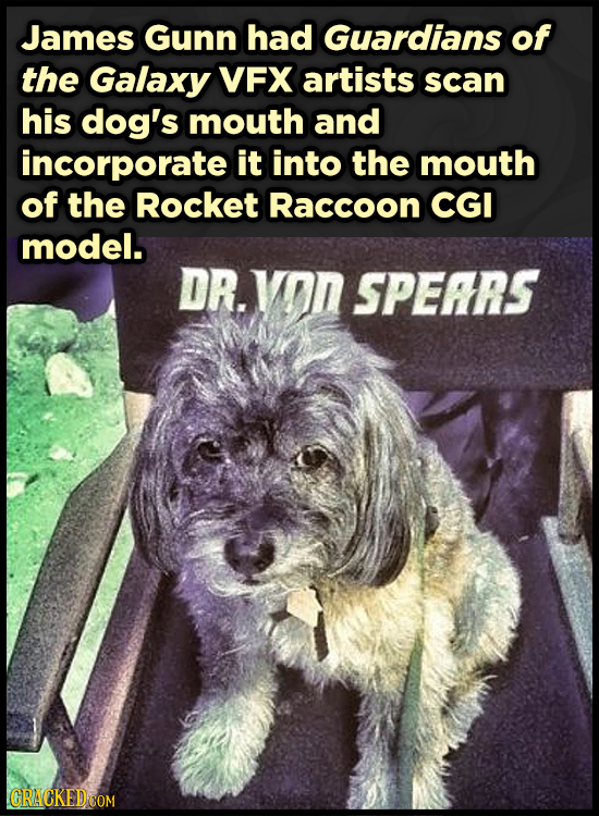 James Gunn had Guardians of the Galaxy VFX artists scan his dog's mouth and incorporate it into the mouth of the Rocket Raccoon CGI model. DR. yon SPE