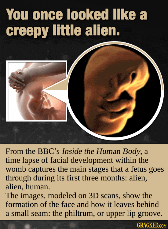 Your Body’s Incredible, Invisible Machinery (Made Visible)