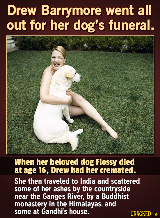 Drew Barrymore went all out for her dog's funeral. When her beloved dog Flossy died at age 16, Drew had her cremated. She then traveled to India and s