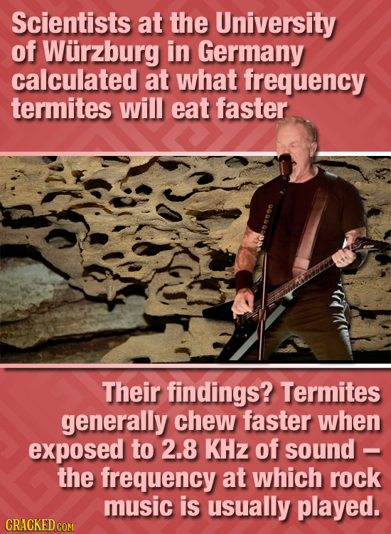 Scientists at the University of Wurzburg in Germany calculated at what frequency termites will eat faster neoe Their findings? Termites generally chew
