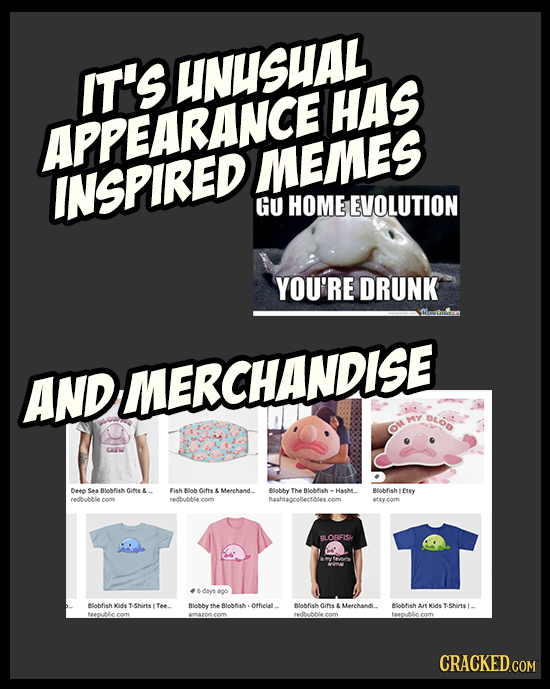 IT'S UNUSHAL HAS APPEARANCE MEMES INSPIRED GU HOME EVOLUTION YOU'RE DRUNK lindeilr AND MERCHANDISE OLOD OM Dem Sea Blobfih cines Fish Bbifss Merchand