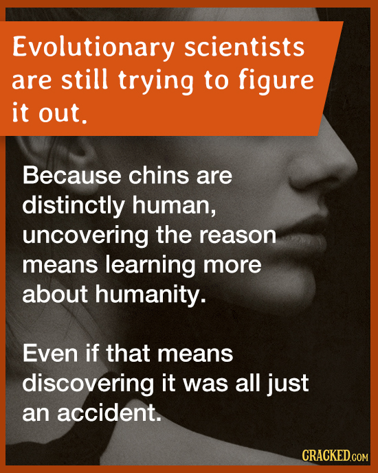 Evolutionary scientists are still trying to figure it out. Because chins are distinctly human, uncovering the reason means learning more about humanit