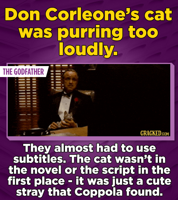Don Corleone's cat was purring too loudly. THE GODFATHER CRACKED.COM They almost had to use subtitles. The cat wasn't in the novel or the script in the first place - it was just a cute stray that Coppola found.