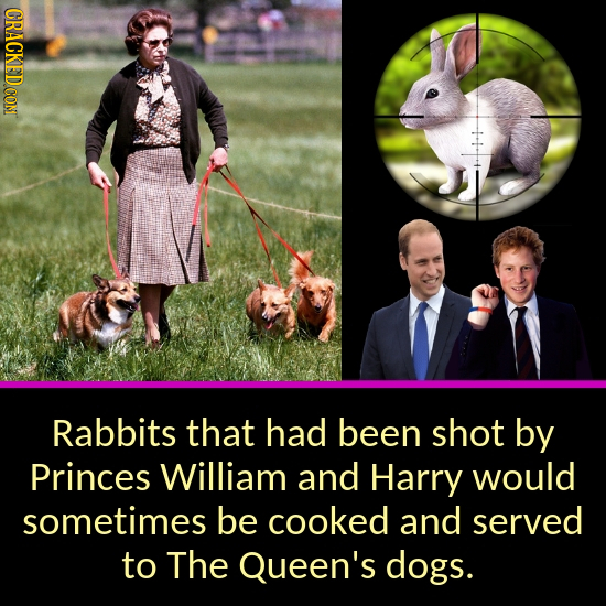 Rabbits that had been shot by Princes William and Harry would sometimes be cooked and served to The Queen's dogs.