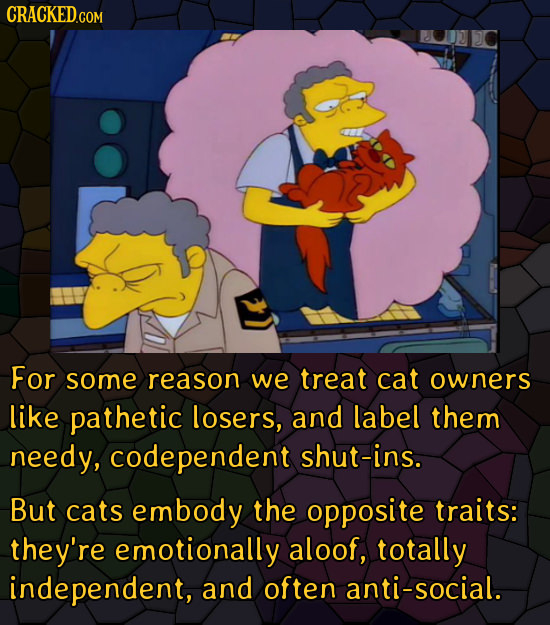 CRACKEDco For some reason we treat cat owners like pathetic losers, and label them needy, codependent shut-ins. But cats embody the opposite traits: t