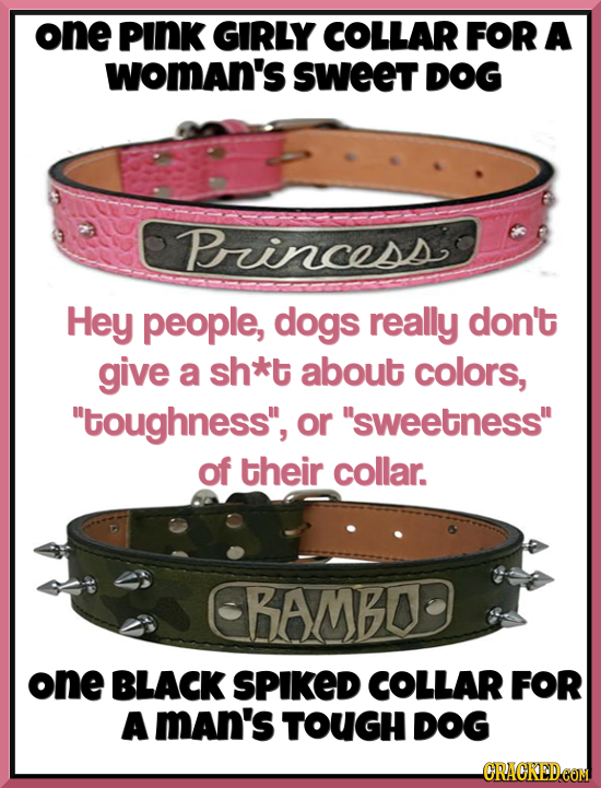 one PINK GIRLY COLLAR FOR A womAn's SWeeT DOG Bincess Hey people, dogs really don't give a sh*t about colors, toughness, or sweetness of their col