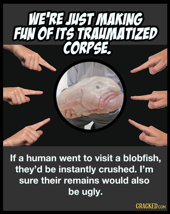 WE'RE JUST MAKING FUN OF ITS TRAUMATIZED CORPSE. If a human went to visit a blobfish, they'd be instantly crushed. I'm sure their remains would also b