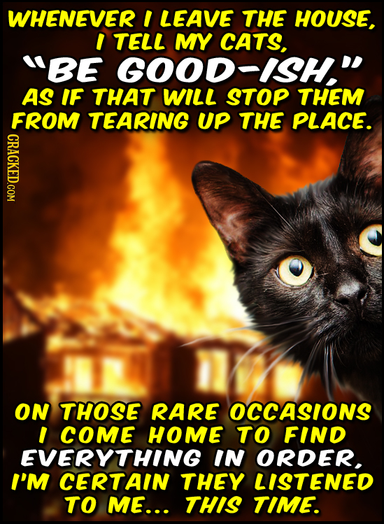 WHENEVER I LEAVE THE HOUSE, I TELL MY CATS, BE GOOD-ISH AS IF THAT WILL STOP THEM FROM TEARING UP THE PLACE. CRACKED.COM ON THOSE RARE OCCASIONS I C
