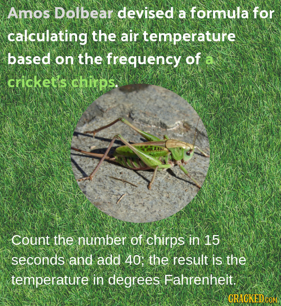 Amos Dolbear devised a formula for calculating the air temperature based on the frequency of a cncket's chirps. Count the number of chirps in 15 secon