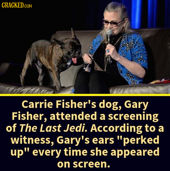 CRACKED COM Carrie Fisher's dog, Gary Fisher, attended a screening of The Last Jedi. According to a witness, Gary's ears perked up every time she ap