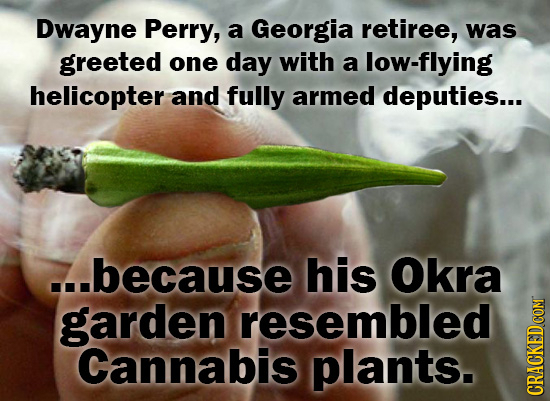 Dwayne Perry, a Georgia retiree, was greeted one day with a low-flying helicopter and fully armed deputies... ...because his Okra garden resembled Can