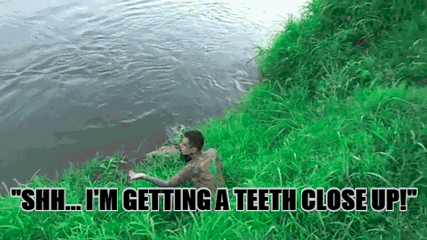 17 Camera Shots That Almost Killed People