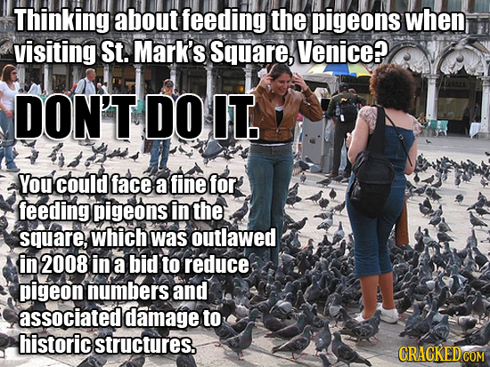 Thinking about feeding the pigeons when visiting St. Mark's Square, Venice? DON'T DO IT You could face a fine for feeding pigeons in the square, which