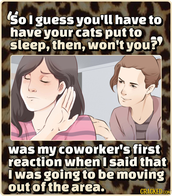 So guess you'll have to have your cats put to sleep, then, won't you?? was my coworker's first reaction when I said that I was going to be moving out