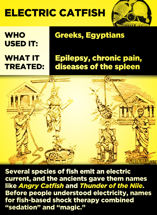 ELECTRIC CATFISH WHO Greeks, Egyptians USED IT: WHAT IT Epilepsy, chronic pain, TREATED: diseases of the spleen uK CRAGRED CO Several species of fish