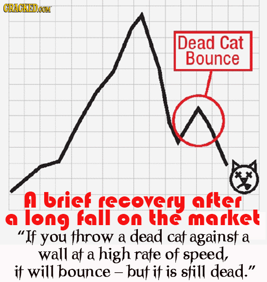 CRACKEDcO Dead Cat Bounce A brief rscovrY after n long fall on the mrkeT If you throw a dead cat against a wall af a high rate of speed, if will boun