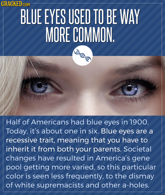 CRACKEDCON BLUE EYES USED TO BE WAY MORE COMMON. DIT Half of Americans had blue eyes in 1900. Today, it's about one in six. Blue eyes are a recessive 