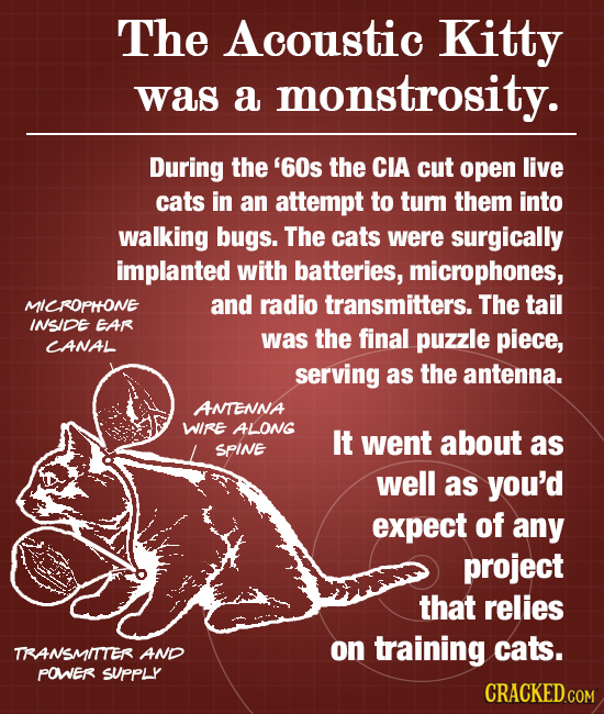 The Acoustic Kitty was a monstrosity. During the '60s the CIA cut open live cats in an attempt to tum them into walking bugs. The cats were surgically