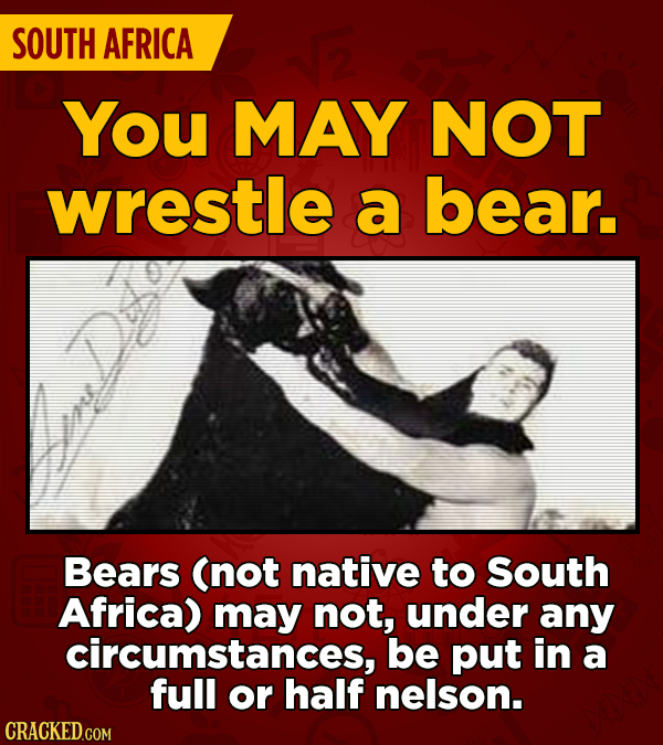 SOUTH AFRICA You MAY NOT wrestle a bear. Bears (not native to South Africa) may not, under any circumstances, be put in a full or half nelson.