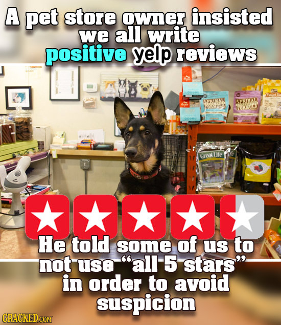 A pet store owner insisted we all write positive yelp reviews DPRASL APRAL OAA TYOR UI OMU Life Gren He told some of US to not use all5 stars. in or