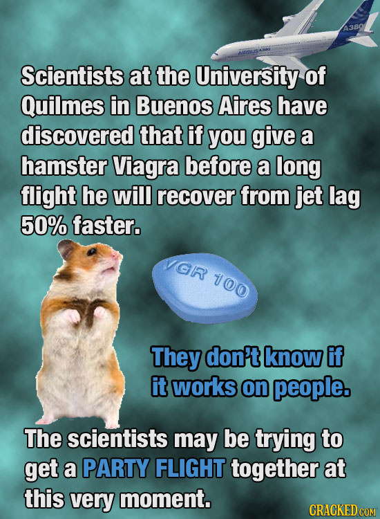 Scientists at the University of Quilmes in Buenos Aires have discovered that if you give a hamster Viagra before a long flight he will recover from je
