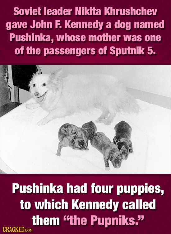Soviet leader Nikita Khrushchev gave John F. Kennedy a dog named Pushinka, whose mother was one of the passengers of Sputnik 5. Pushinka had four pupp