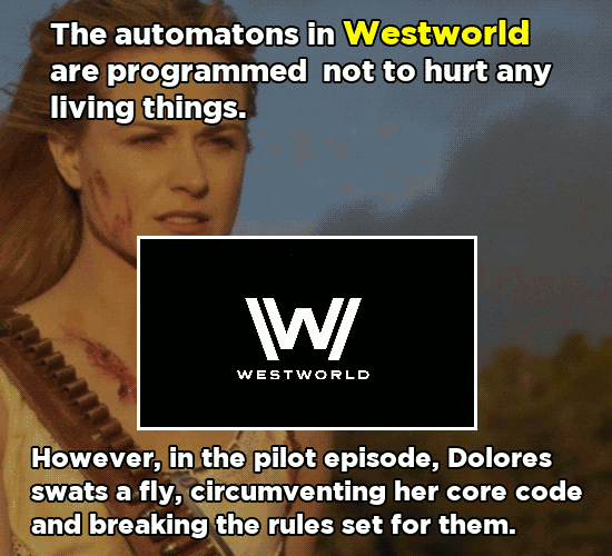 Minor Details That Give Away Huge Plot Points