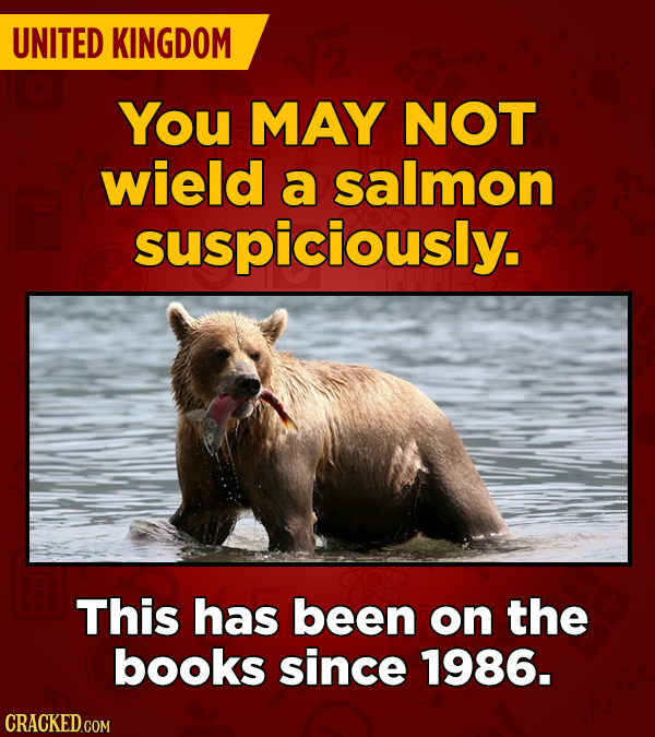 27 Oddly Specific Laws From Around The World