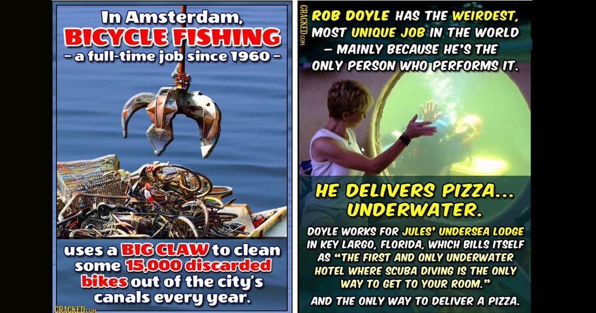 29 Weirdo Jobs Nobody Thought Existed