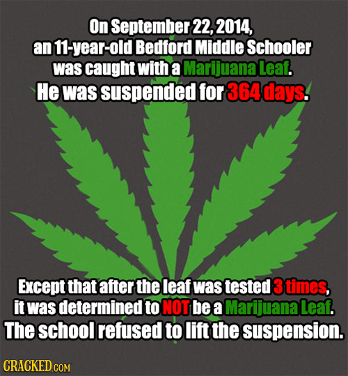 On September 22, 2014, an 11-year-old Bedford Middle Schooler was caught with a Marijuana Leaf. He waS suspended for 364 days. Except that after the l