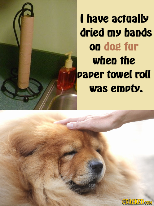 E have actually dried my hands on dog fur when the paper towel roll was empty. CRACKEDCON