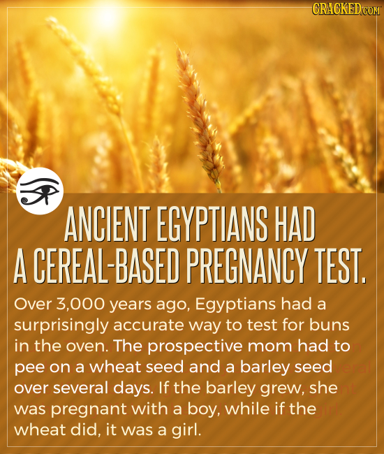 CRACKED COM ANCIENT EGYPTIANS HAD A CEREAL-BASED PREGNANCY TEST. Over 3,000 years ago, Egyptians had a surprisingly accurate way to test for buns in t