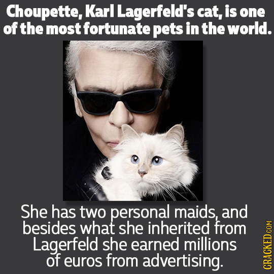 Choupette, Karl Lagerfeld's cat, is one of the most fortunate pets in the world. She has two personal maids, and besides what she inherited from Lager